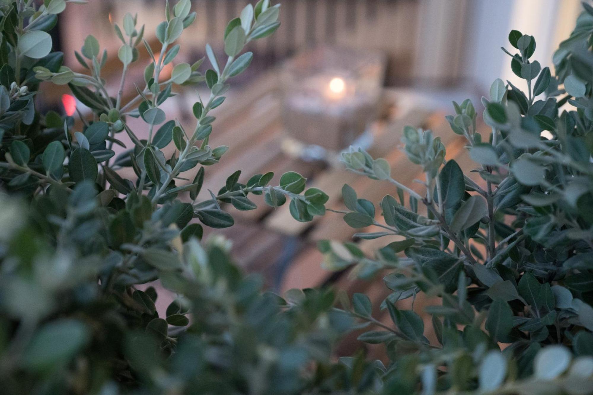 Okto Apartments ميلاتسو المظهر الخارجي الصورة