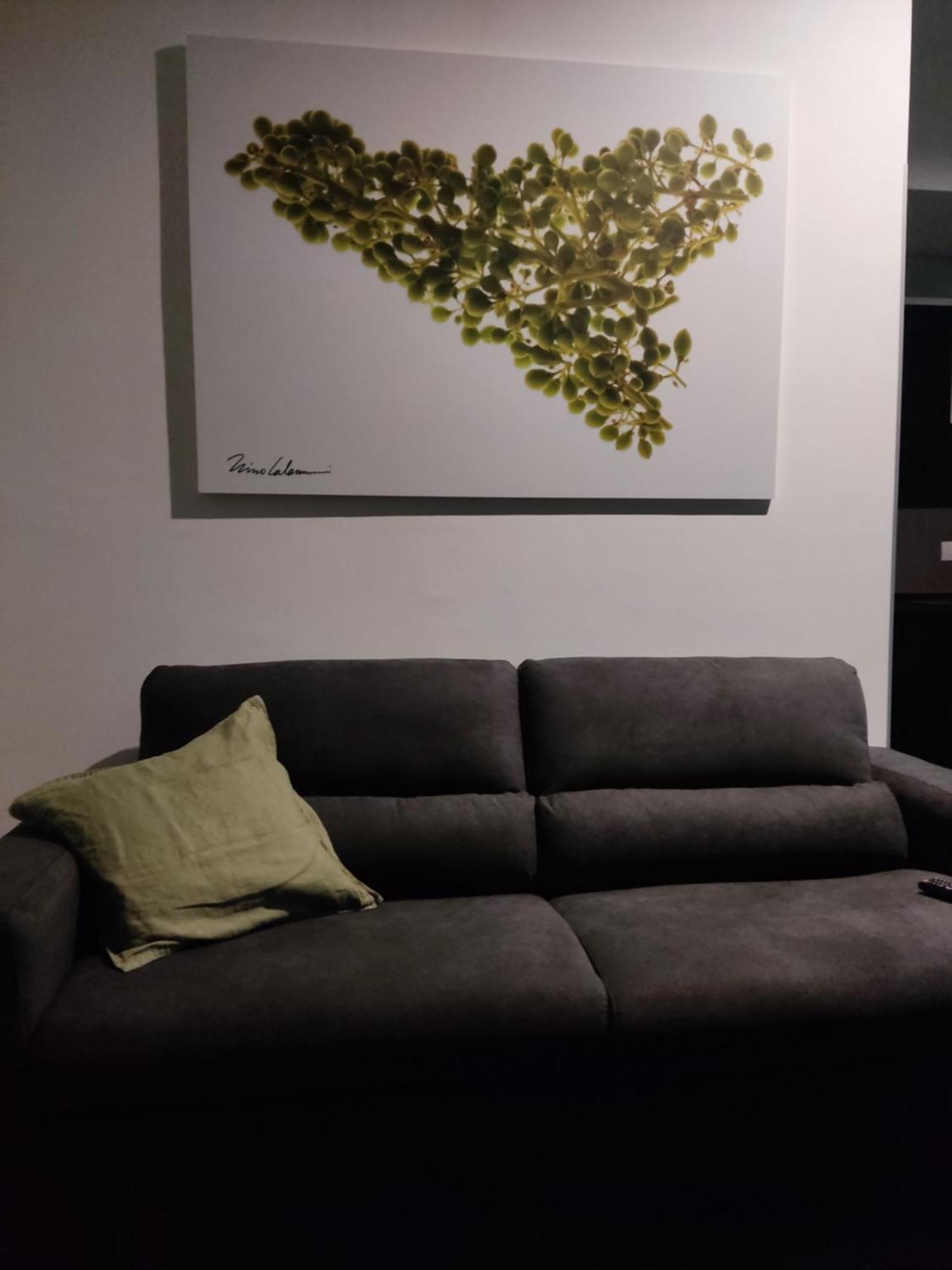 Okto Apartments ميلاتسو المظهر الخارجي الصورة